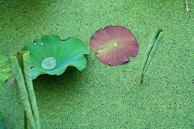 Switch《斯普拉遁3》成日本玩家最期待游戏